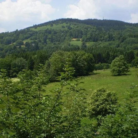 Ancienne Chapelle Amenagee En Independant Avec Terrasse Et Cheminee - Fr-1-589-463 Saulxures-sur-Moselotte