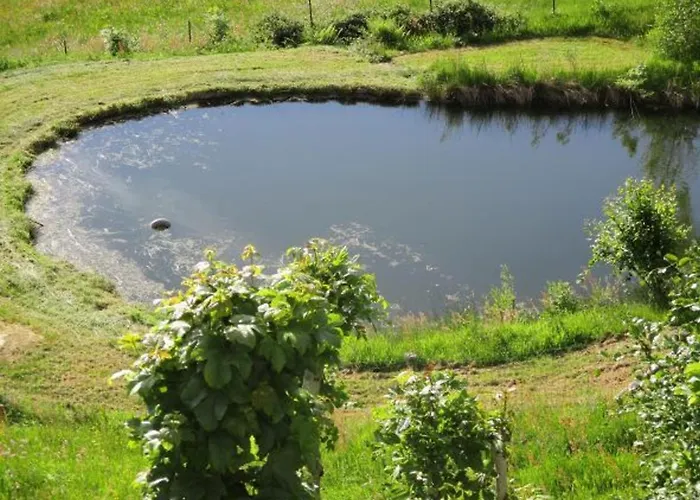 Prázdninový dům Ancienne Chapelle Amenagee En Independant Avec Terrasse Et Cheminee - Fr-1-589-463 Saulxures-sur-Moselotte