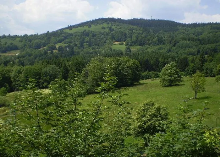 Ancienne Chapelle Amenagee En Independant Avec Terrasse Et Cheminee - Fr-1-589-463 Saulxures-sur-Moselotte